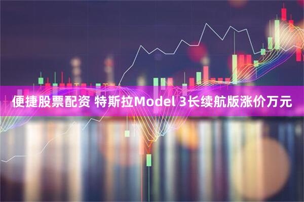 便捷股票配资 特斯拉Model 3长续航版涨价万元